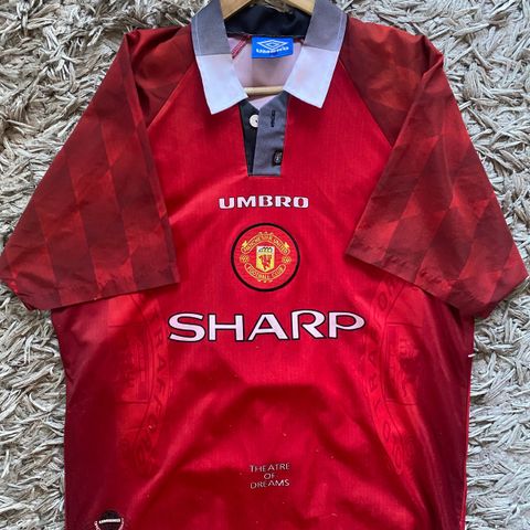 Manchester United 1996-97, Cantona