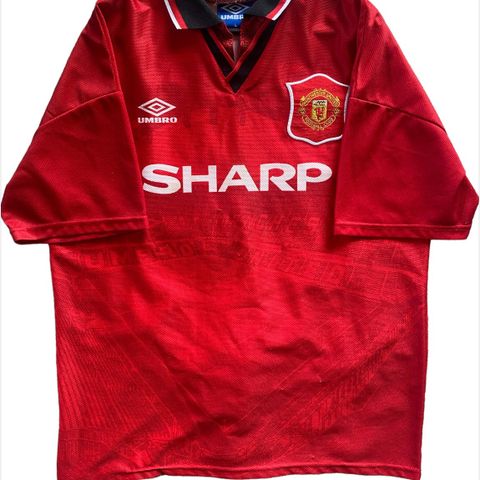 Manchester United 1994/95, Beckham