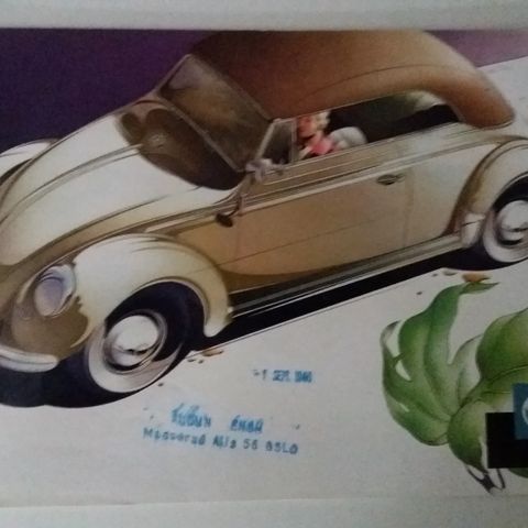 Volkswagen BOBLE CABRIOLET -brosjyre. ( Type 1 )