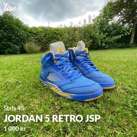 Jordans 5 sko