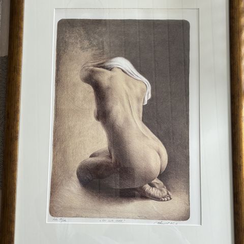 "Det hvite klede" av Yvonne Jeanette Karlsen - Flott innrammet litografi