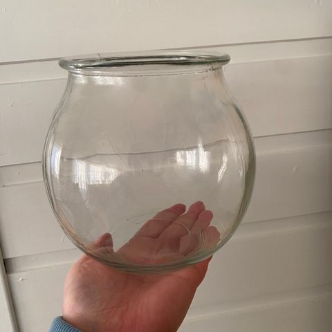 Glassvase