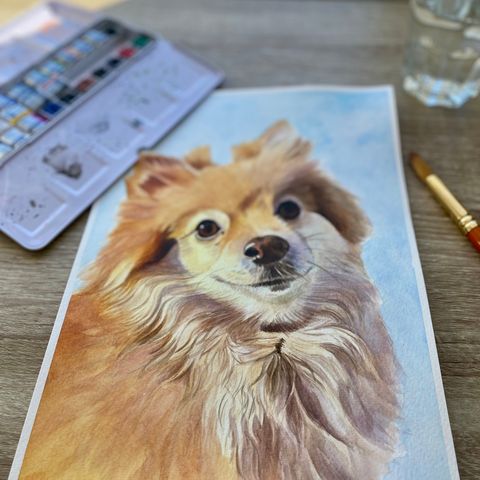 portrett av ditt kjæledyr katt kanin hund hest akvarell