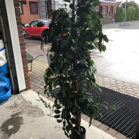 Kunstig plante 180 cm