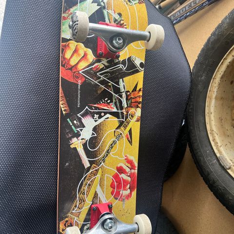 Skateboard - Evisen dekk, Independent trucks, Bones hjul
