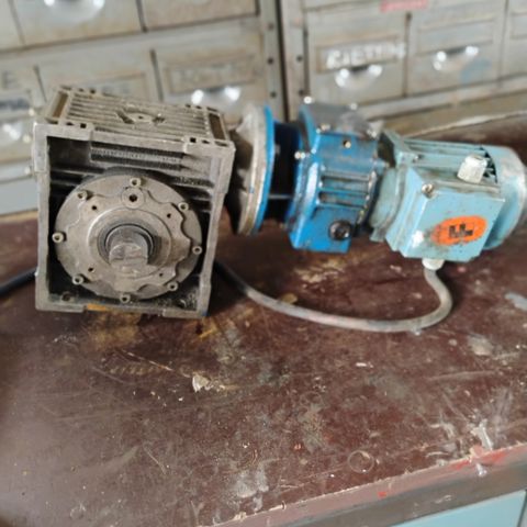 Selger gear motor