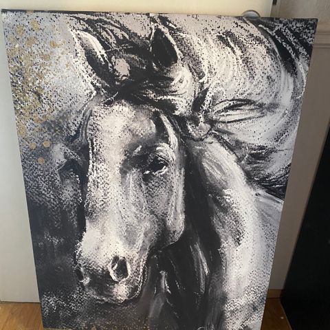 Canvasbilde med hest 70x100cm