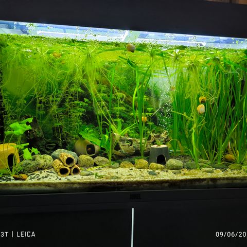 Akvarium 120l juwel