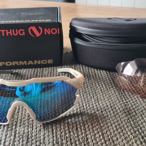 Northug Gold Performance  briller