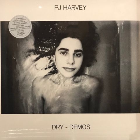 PJ Harvey Dry Demos