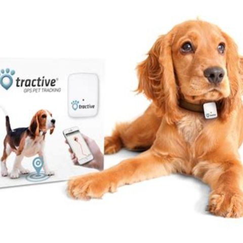 Helt nye Tractive GPS-tracker for hund/katt