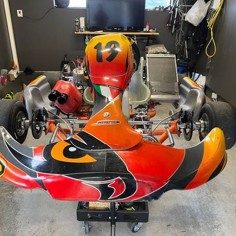 Intrepid KZ gokart K9b motor fra tm