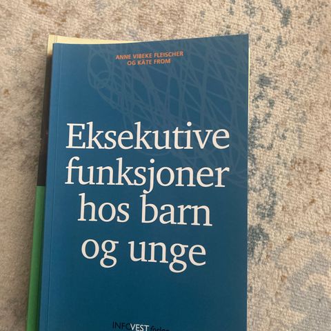 Eksekutive funksjoner hos barn og unge