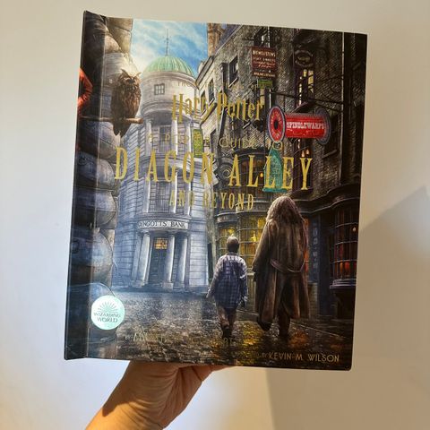 Barnebøker Harry Potter Pop-up bok