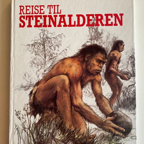 Reise til steinalderen