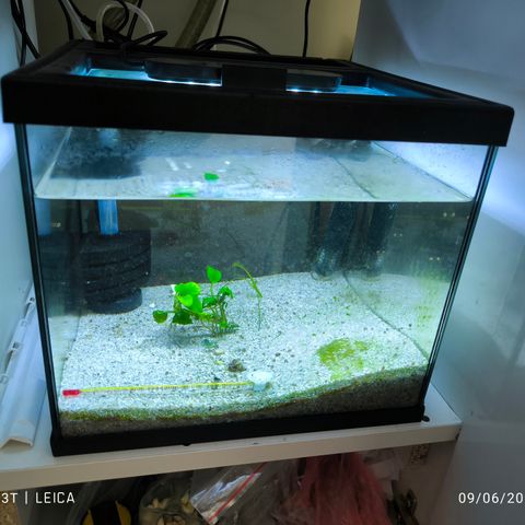 Akvarium ca 20l