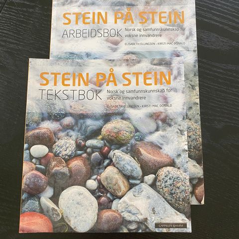 Stein på stein tekstbok og arbeidsbok