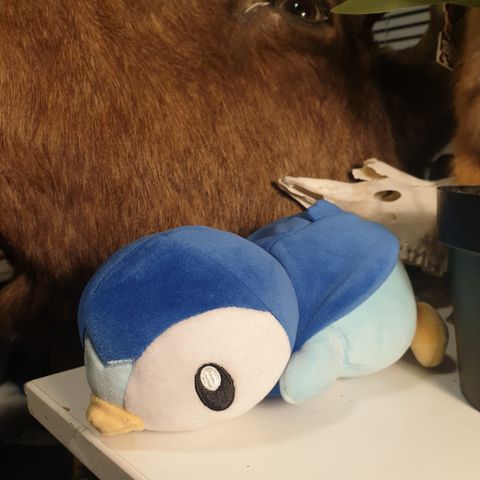 Piplup pokemon bamse