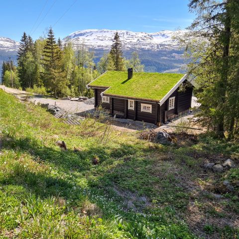 Hytteleie på fjellet Hjartdal.