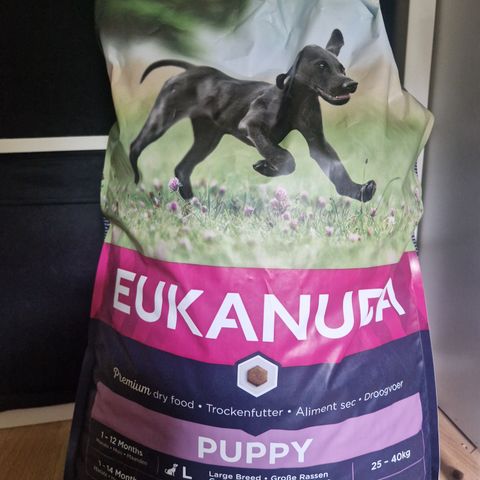Eukanuba puppy