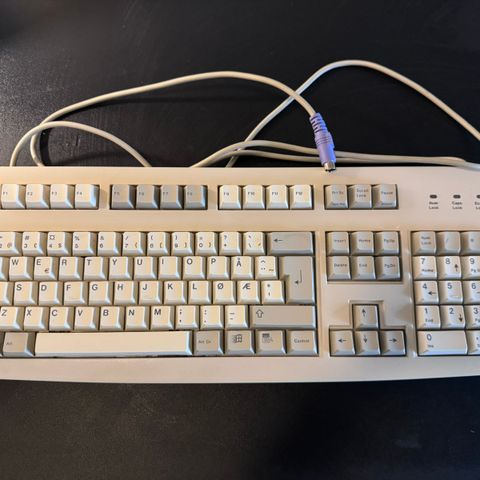 Cherry RS 6000M Retro Tastatur PS/2