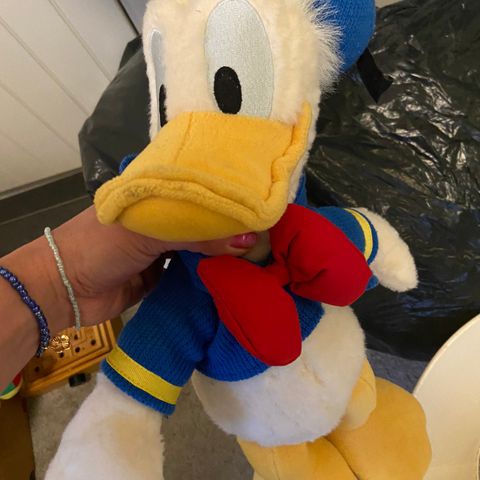 Donald Duck Disneyland