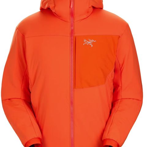 Arcteryx Proton LT Phenom