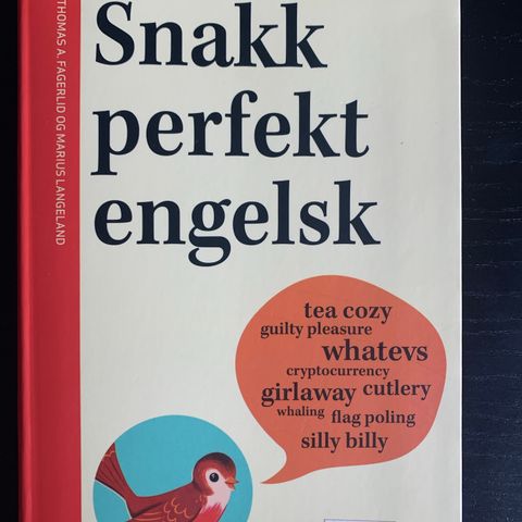 Snakk perfekt engelsk