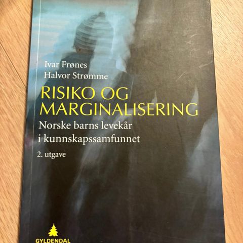 Risiko og marginalisering