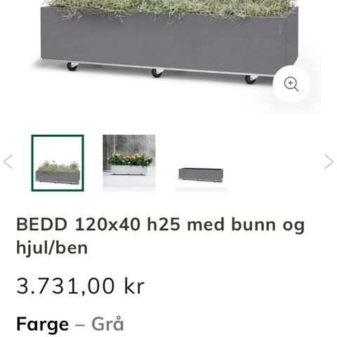 1 stk ny Bedd plantekasser ( bilde lånt fra nettet