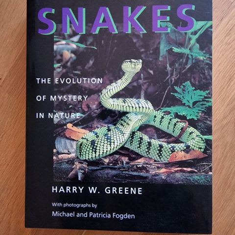 Snakes - The evolution og mystery in nature