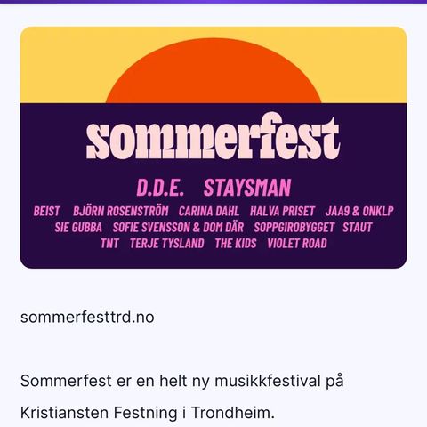 Sommefest dagspass Lørdag