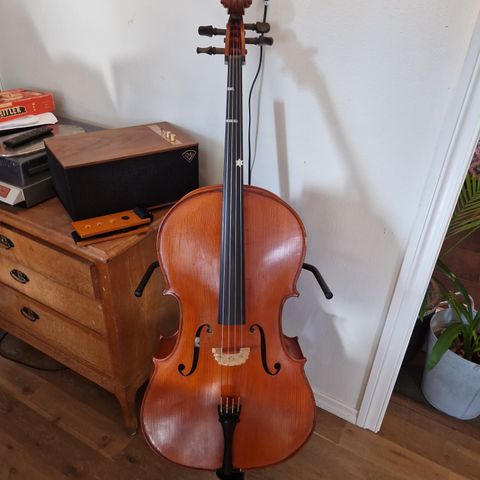 Cellokasse ønskes kjøpt