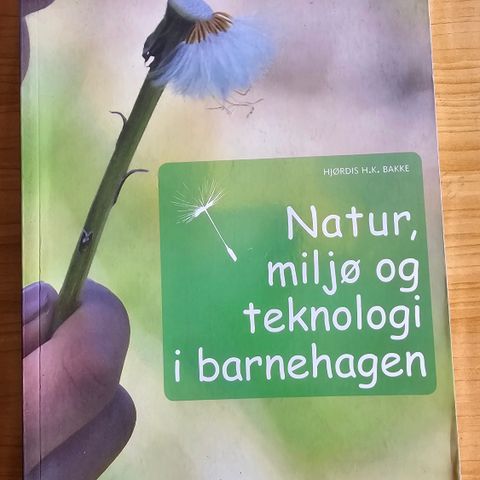 Natur, miljø og teknologi i barnehagen