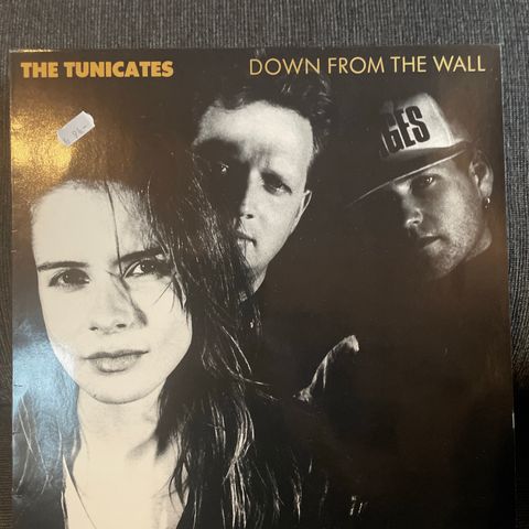 The Tunicates - Down From The Wall