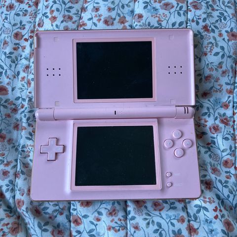 Nintendo DS Lite