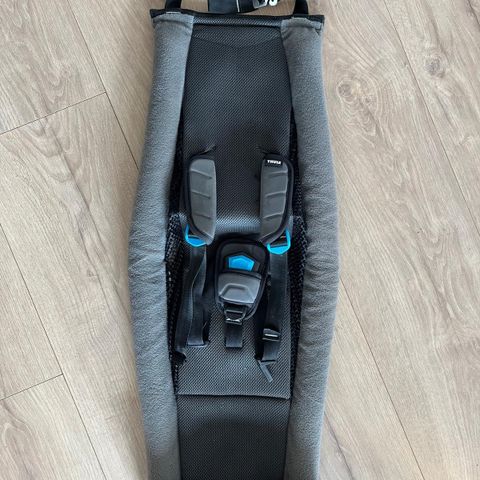 Thule Chariot Infant Sling