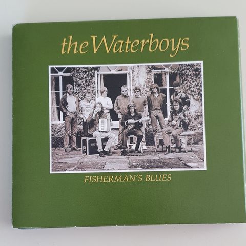 The Waterboys