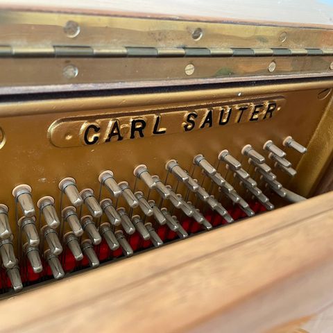 Carl Sauter piano