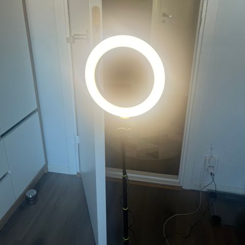 LED Light Stand