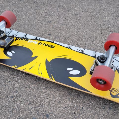 Skateboard Cruiser