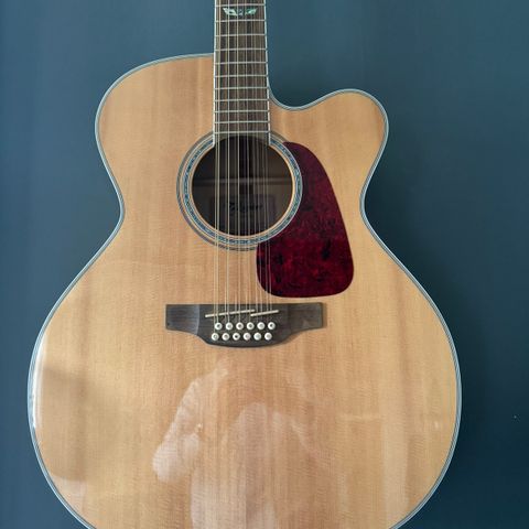 Takamine 12 strenger gitar