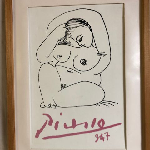 Picasso. 347.