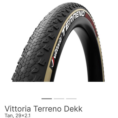 Vittoria Terreno 29x2.10