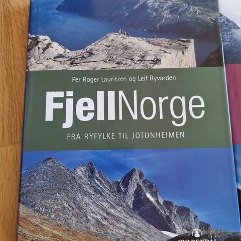 Fjellnorge