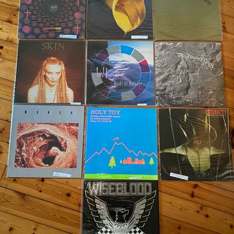 LP plater Swans, The Young Gods, Holy Toy mm- noen solgt nå, se beskrivelse