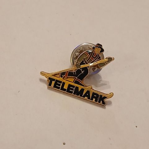 Telemark - Pins