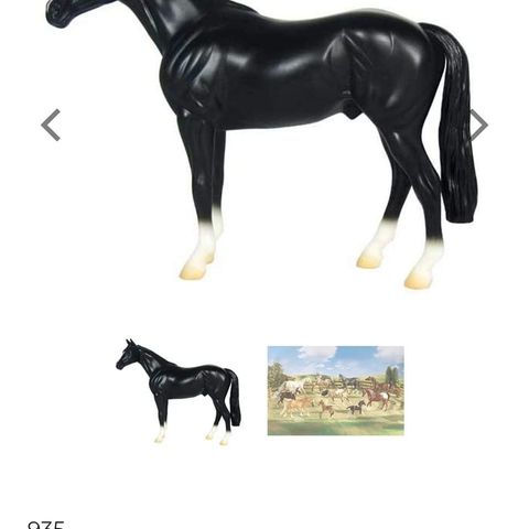 Breyer hester