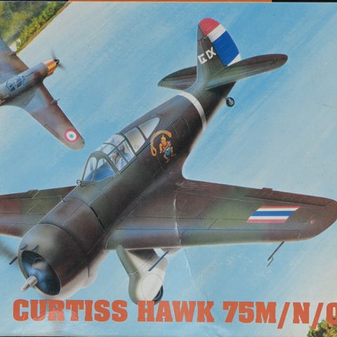 Hobbycraft 1/48 Curtis Hawk 75M/N/O jagerfly