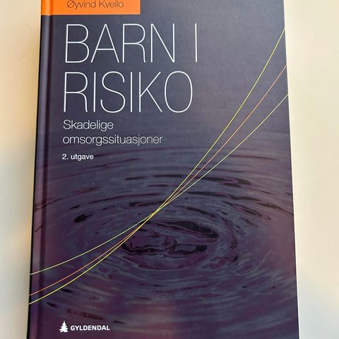 Barn i risiko